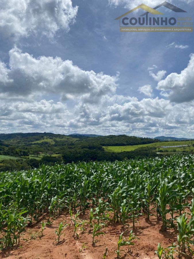 WhatsApp Image 2025-12-11 at 13.22.49 (3).jpeg